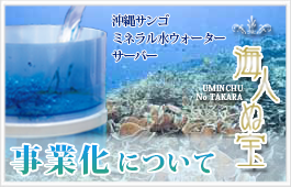海人ぬ宝 事業化について