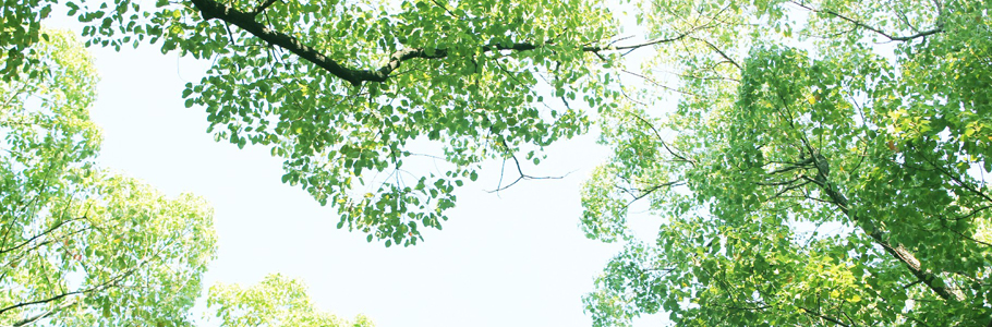 医薬品のことなら香川県観音寺市、高木薬品へ!