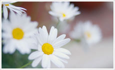 「予防医学で社会に貢献する企業でありつづけたい!」